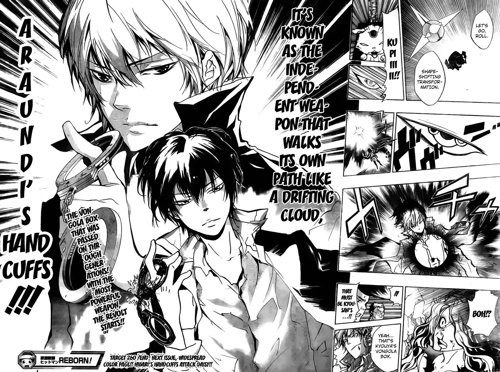 Katekyo Hitman Reborn! Chapter 260 18